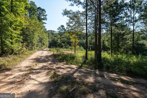 Other - 29 Hickey Rd, Franklin, GA 30217 photo 22 of 24