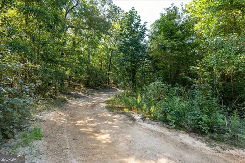 Other - 29 Hickey Rd, Franklin, GA 30217 photo 21 of 24