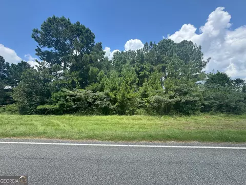 0 Highway 65, Pelham, GA 31779
