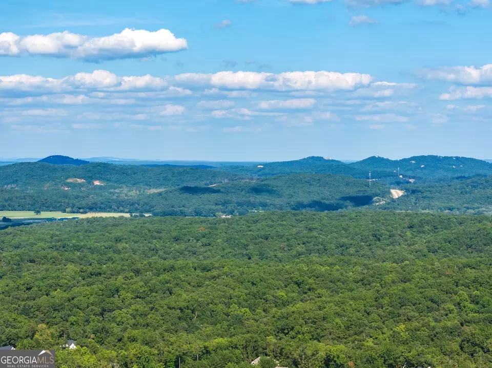 View/Area - 141 Landsdowne Way, Cartersville, GA 30120 photo 6 of 7