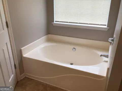 Bath - 1624 Graystone Dr, Hampton, GA 30228 photo 2 of 6