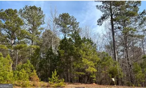 1330 Spinnaker Rd, Buckhead, GA 30625
