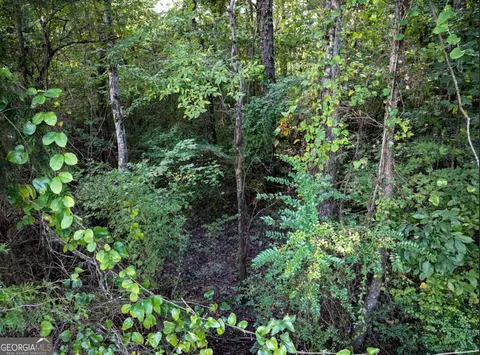 0 Silver Run Rd, Munford, AL 36268 photo 10