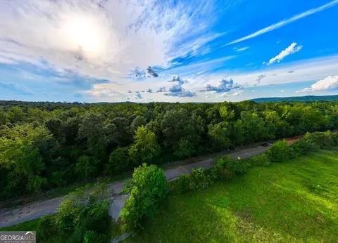 0 Silver Run Rd, Munford, AL 36268 photo 7