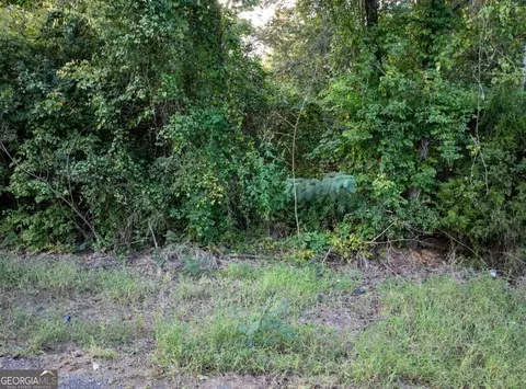 0 Silver Run Rd, Munford, AL 36268 photo 12