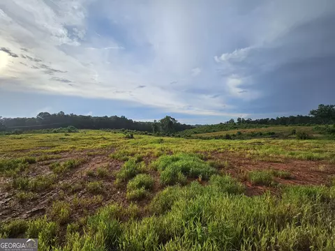 Tract 2 Thornto Thornton Drive, Elberton, GA 30635