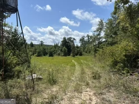 0 Pineville Rd, Buena Vista, GA 31803
