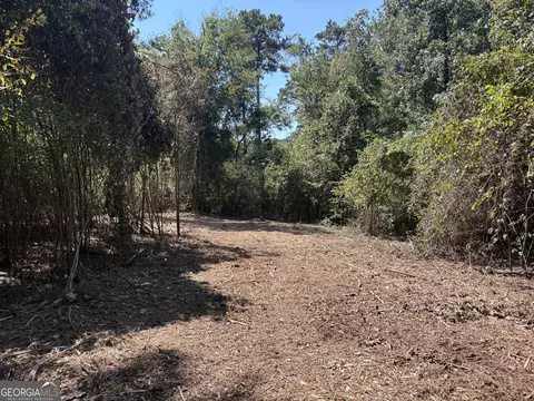 2 Old Rumble Road, Forsyth, GA 31029 photo 7