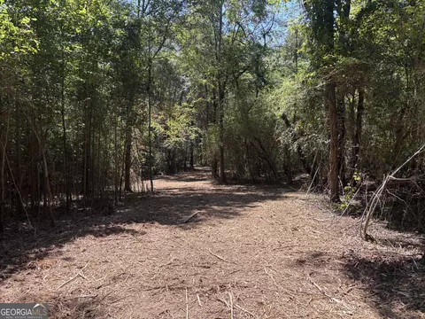 2 Old Rumble Road, Forsyth, GA 31029 photo 9