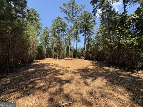 2 Old Rumble Road, Forsyth, GA 31029
