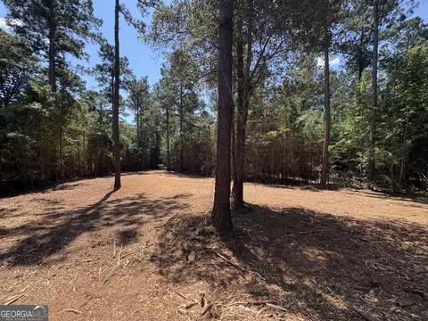 2 Old Rumble Road, Forsyth, GA 31029 photo 2