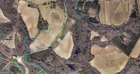 0 Sink Hole Rd, Register, GA 30452 photo 2