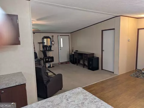 Other - 642 Elm Rd, Franklin, GA 30217 photo 3 of 6