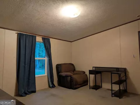 Other - 642 Elm Rd, Franklin, GA 30217 photo 5 of 6