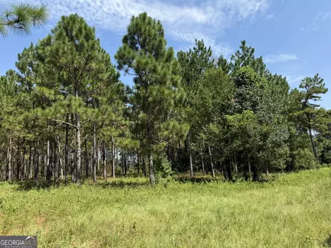 02 Barge Rd, Lumpkin, GA 31815
