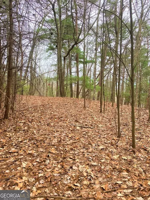 7 Lot Brushy Top Dr #7, Chatsworth, GA 30705