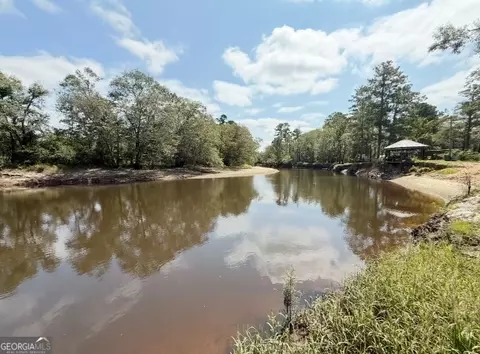 View/Area - 163 Egret Pl, Lyons, GA 30436 photo 2 of 4