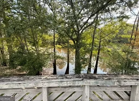 View/Area - 163 Egret Pl, Lyons, GA 30436 photo 4 of 4