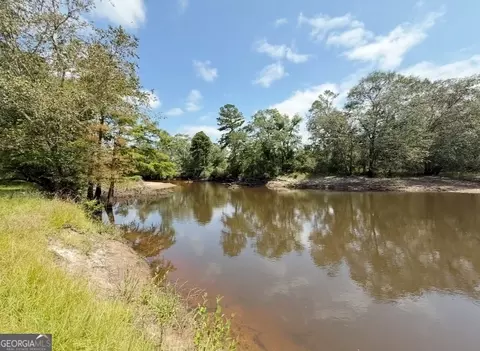 View/Area - 163 Egret Pl, Lyons, GA 30436 photo 3 of 4