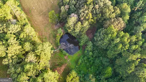 34 Acres On Pullen Rd, Lindale, GA 30147 photo 4