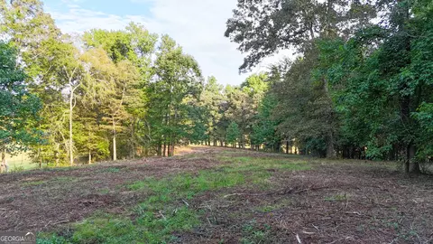 34 Acres On Pullen Rd, Lindale, GA 30147 photo 8