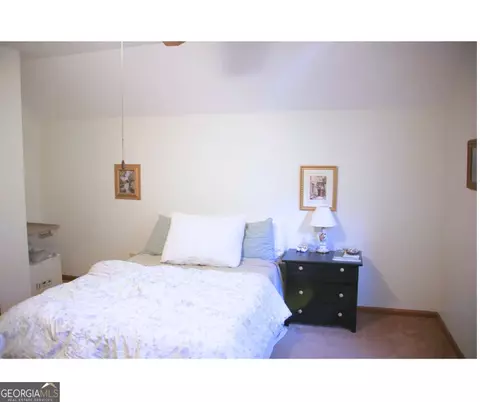 247 Al Highway 165, Eufaula, AL 36027 photo 25