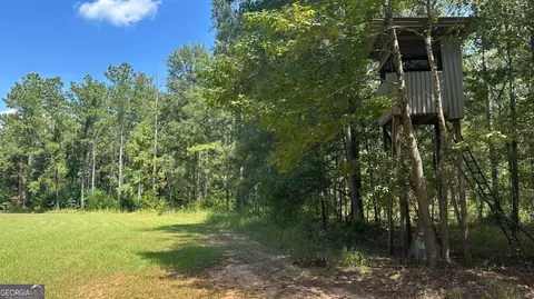 0 Ethridge Rd, Haddock, GA 31033 photo 5