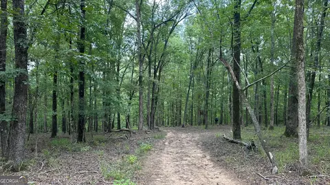 0 Ethridge Rd, Haddock, GA 31033 photo 16