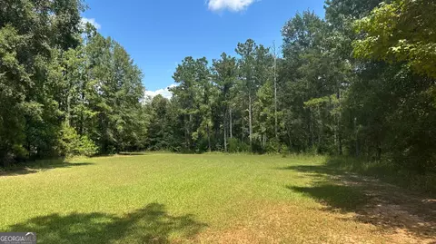 0 Ethridge Rd, Haddock, GA 31033 photo 4