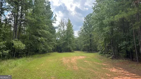 0 Ethridge Rd, Haddock, GA 31033 photo 18