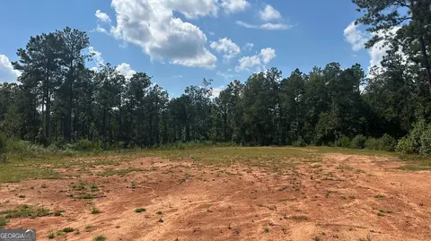 0 Ethridge Rd, Haddock, GA 31033 photo 14
