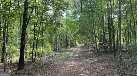 0 Ethridge Rd, Haddock, GA 31033 photo 6