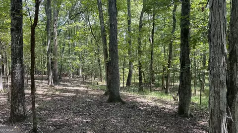 0 Ethridge Rd, Haddock, GA 31033 photo 10