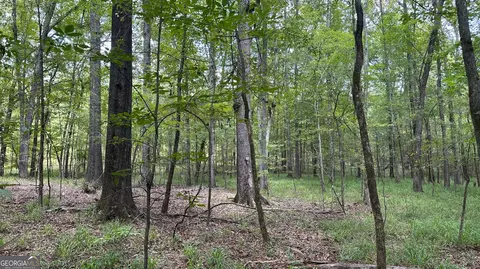0 Ethridge Rd, Haddock, GA 31033 photo 13