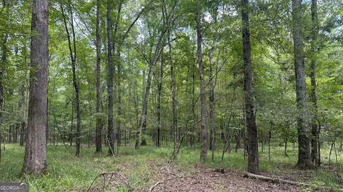 0 Ethridge Rd, Haddock, GA 31033 photo 2