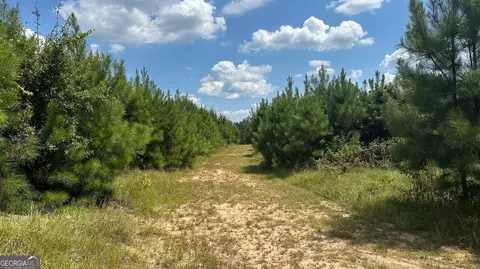 0 Ethridge Rd, Haddock, GA 31033 photo 20