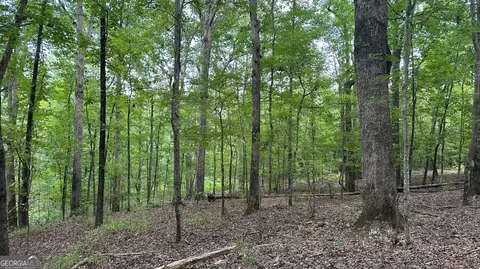 0 Ethridge Rd, Haddock, GA 31033 photo 26
