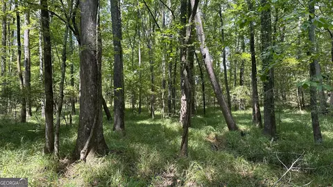 0 Ethridge Rd, Haddock, GA 31033 photo 25