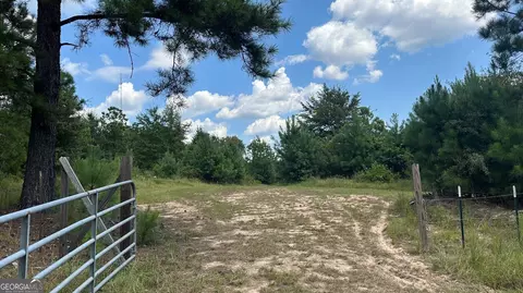 0 Ethridge Rd, Haddock, GA 31033 photo 9
