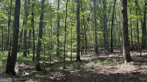 0 Ethridge Rd, Haddock, GA 31033 photo 12