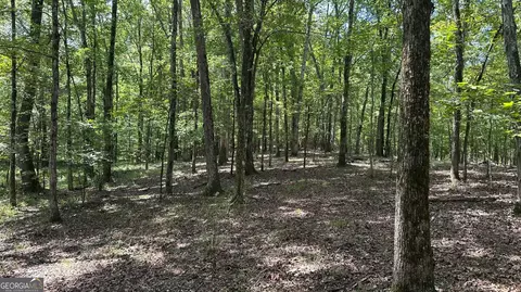 0 Ethridge Rd, Haddock, GA 31033 photo 11