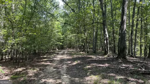 0 Ethridge Rd, Haddock, GA 31033 photo 15