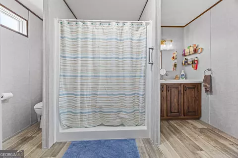 Bath - 219 Piney Grove Rd, Comer, GA 30629 photo 3 of 4