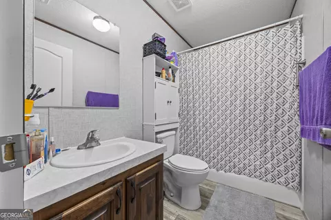 Bath - 219 Piney Grove Rd, Comer, GA 30629 photo 1 of 4