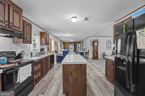 Entry Way - 219 Piney Grove Rd, Comer, GA 30629 photo 3 of 4