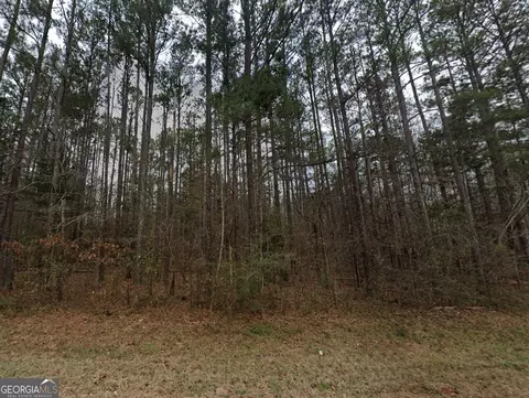 0 Tingle Rd, Forsyth, GA 31029 photo 2