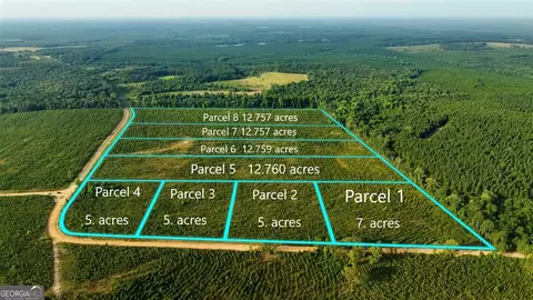 Parcel 1 Whipporwill Road, Reynolds, GA 31076