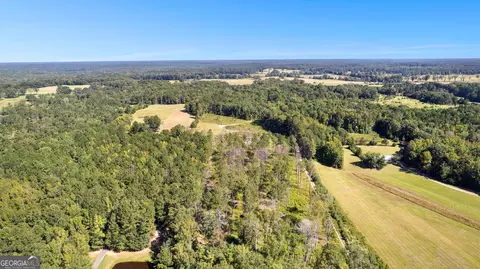 Other - 2192 Gaulding Rd, Concord, GA 30206 photo 7 of 21