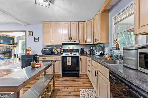 Kitchen - 2192 Gaulding Rd, Concord, GA 30206 photo 3 of 3