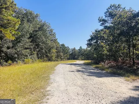 6842 Ga Highway 240 #TRACT 1, Box Springs, GA 31801